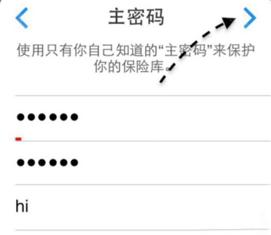 设置主密码界面