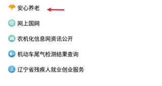 养老服务入口
