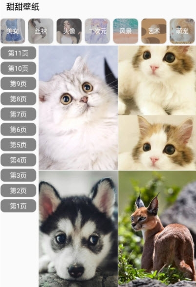 壁纸自动打码效果示例