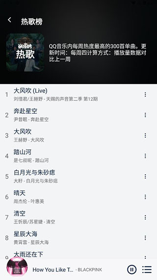 熊猫音乐皮肤效果
