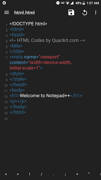 notepad++界面