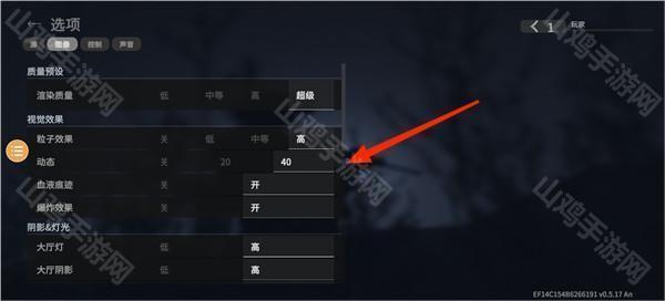 画质选项