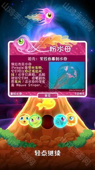 粉水母信息