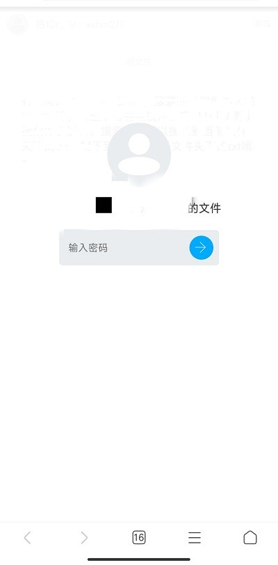 蓝奏云下载界面