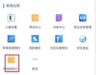 校园钱包入口