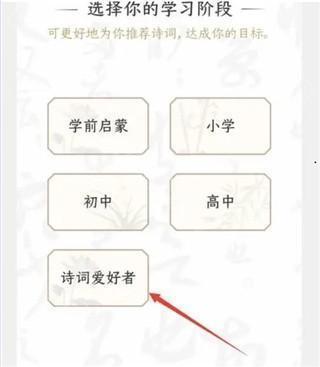 阶段选择