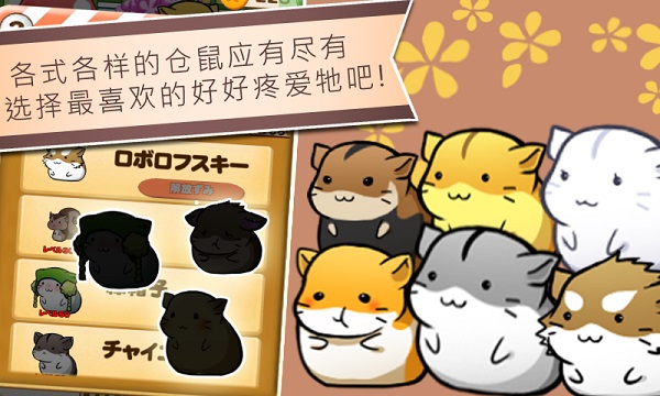 仓鼠互动