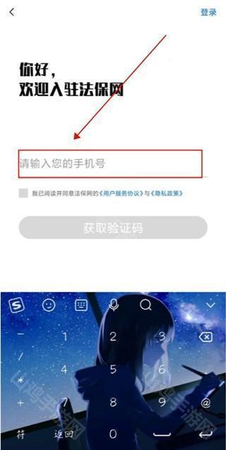 法保网输入手机号界面