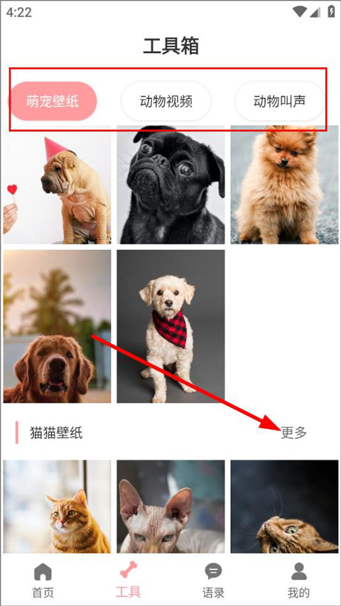 狗语翻译器工具箱
