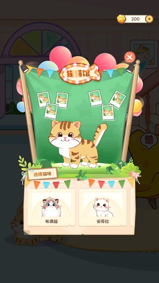 多猫互动场景