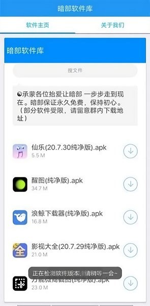 暗部软件库安全检测