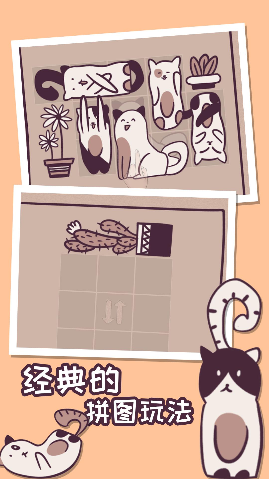 猫咪换装展示