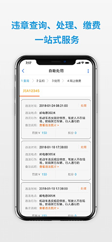 四川交警公共服务平台
