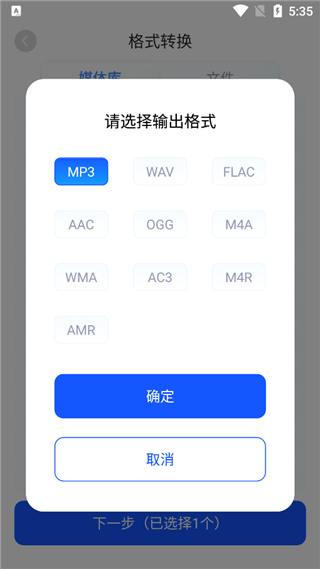 格式选择界面