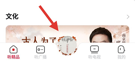 云听底部控制区