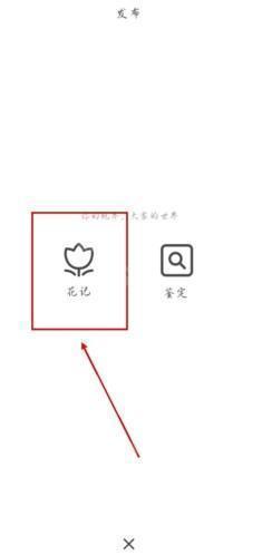 花记界面