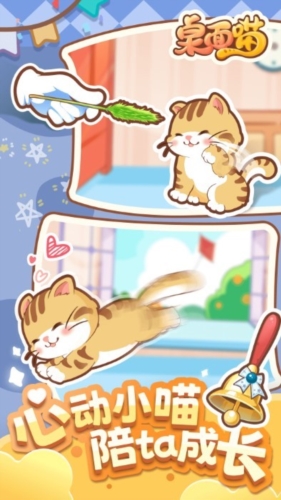 新猫咪品种