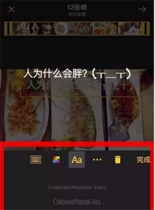 文字添加界面