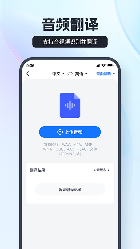 术语库设置界面