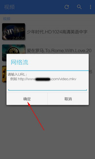 输入网址并确定
