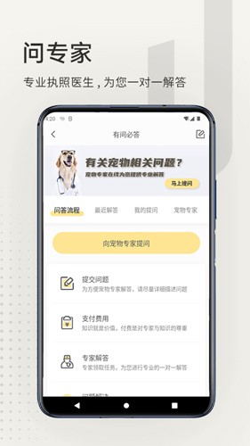 宠物档案