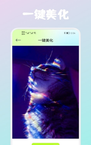 Wink修复