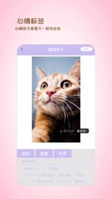 贴纸效果演示
