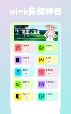 Wink修复