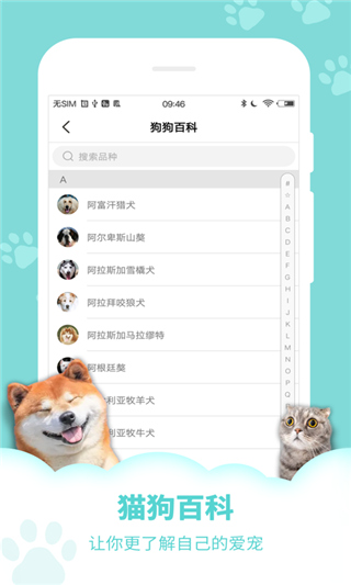 动物声音模拟器界面示例