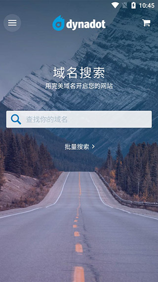 域名查询界面