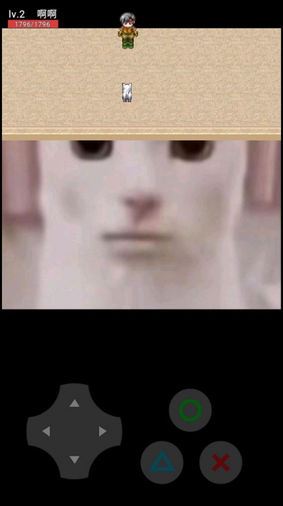 猫咪在恐怖场景中解谜