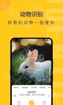 版本迭代