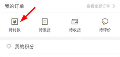 待付款功能