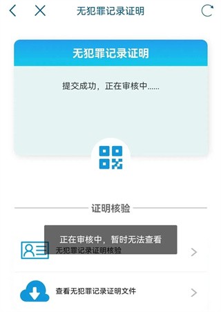 审核中