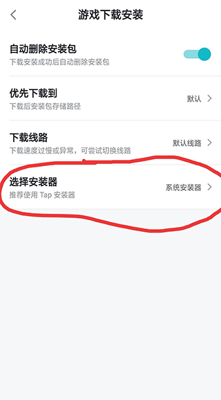 安装器选择界面