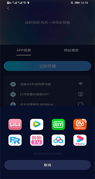 播放器选择界面