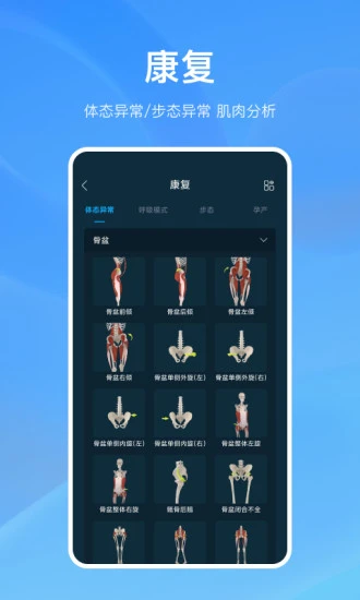 解剖大师最新版