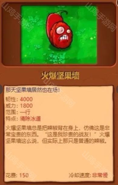 火爆坚果墙