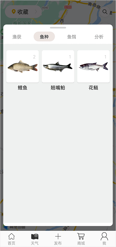 鱼种识别