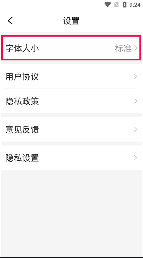 字体选项