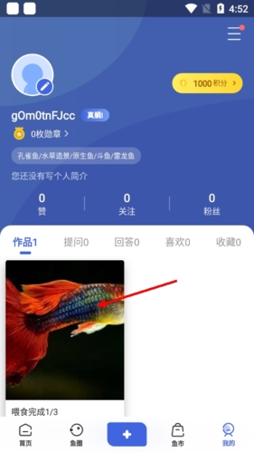 我的作品页面