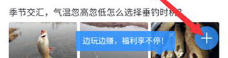 发布入口