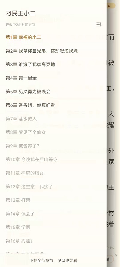 章节列表展示