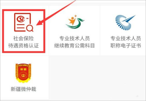退休认证入口