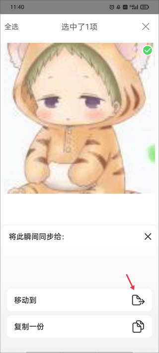 存储选项
