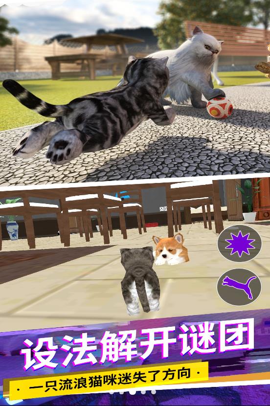 猫咪城市模拟主场景