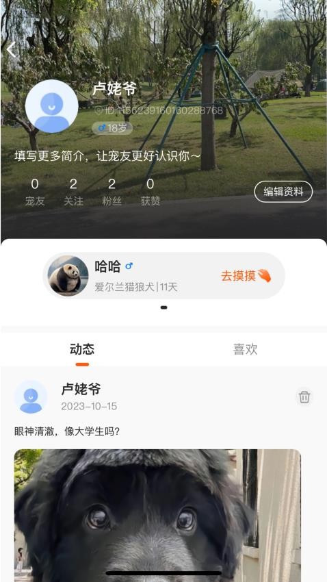 哆伽宠宠物档案界面