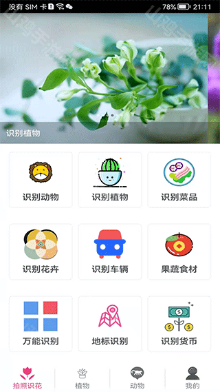 多肉识别界面