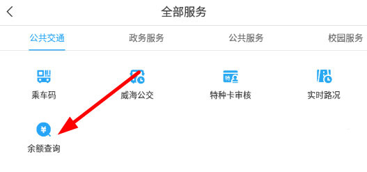 余额查询图