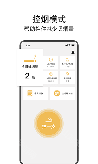 健康监测功能